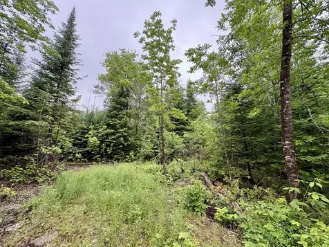 Lot 1 Mt. Jefferson Heights Lee ME 04455