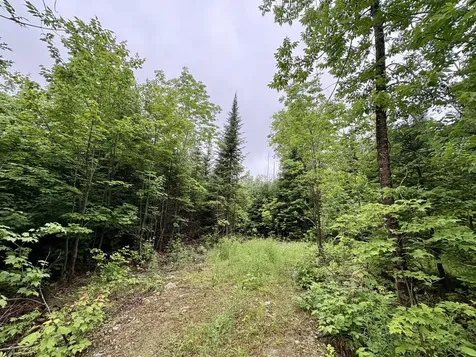Lot 1 Mt. Jefferson Heights Lee ME 04455