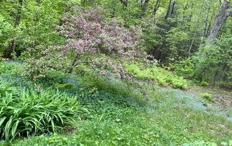 10 Ricker Hill Road Jackson ME 04921