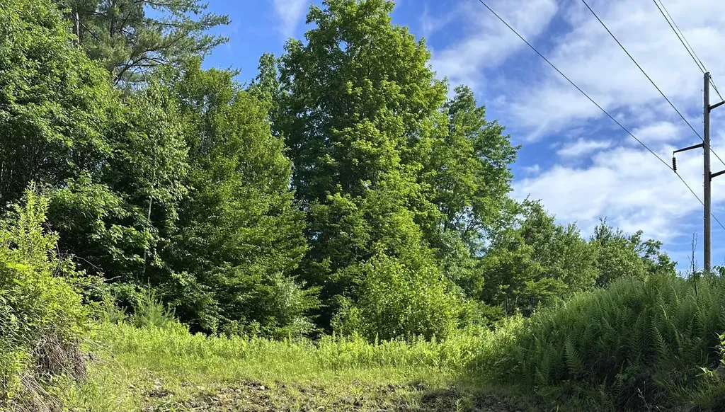 Lot 020 Canton Mountain Road Jay ME 04239