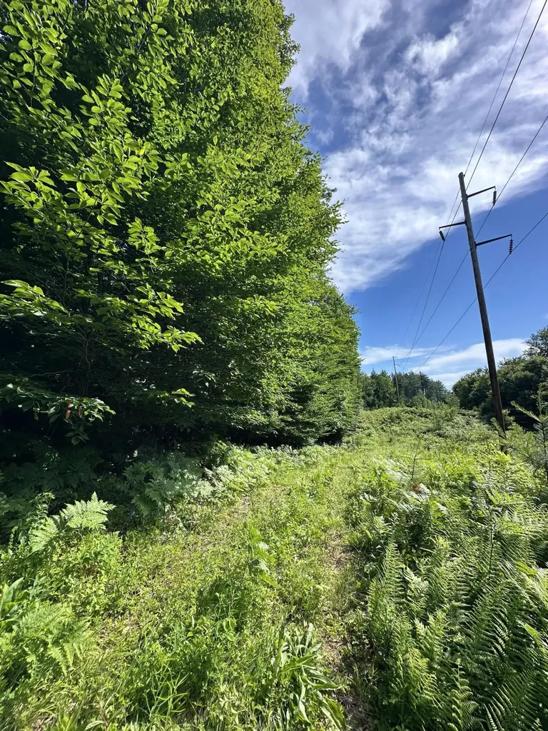 Lot 020 Canton Mountain Road Jay ME 04239