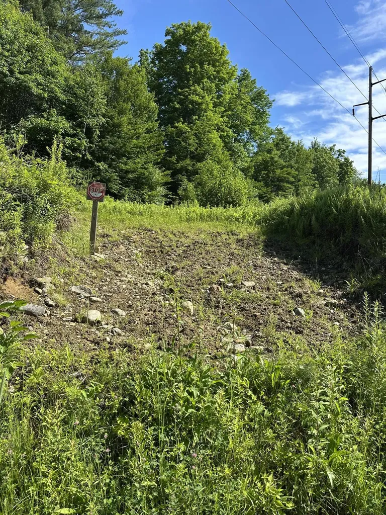 Lot 020 Canton Mountain Road Jay ME 04239