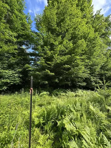 Lot 020 Canton Mountain Road Jay ME 04239