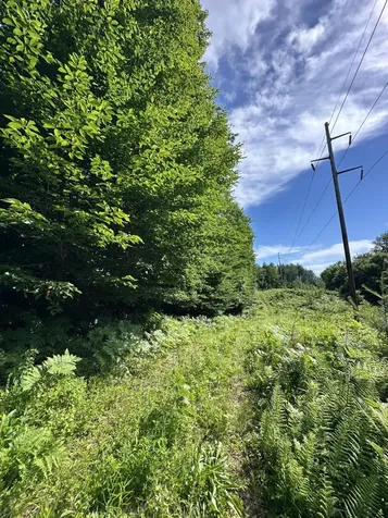 Lot 020 Canton Mountain Road Jay ME 04239