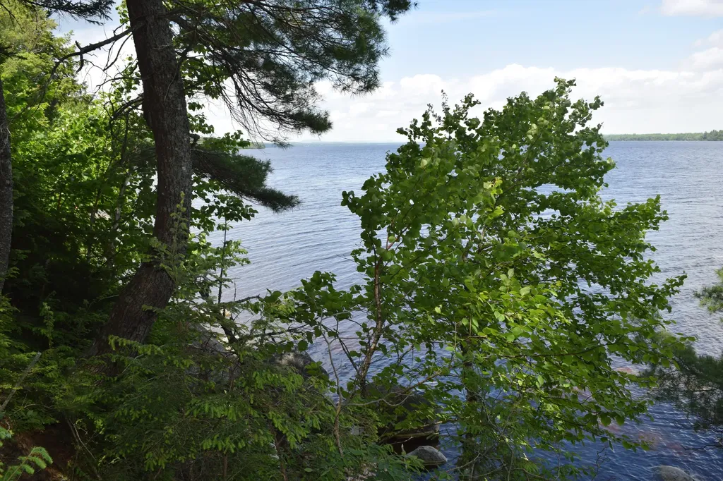 310 Peninsula Drive Mariaville ME 04605
