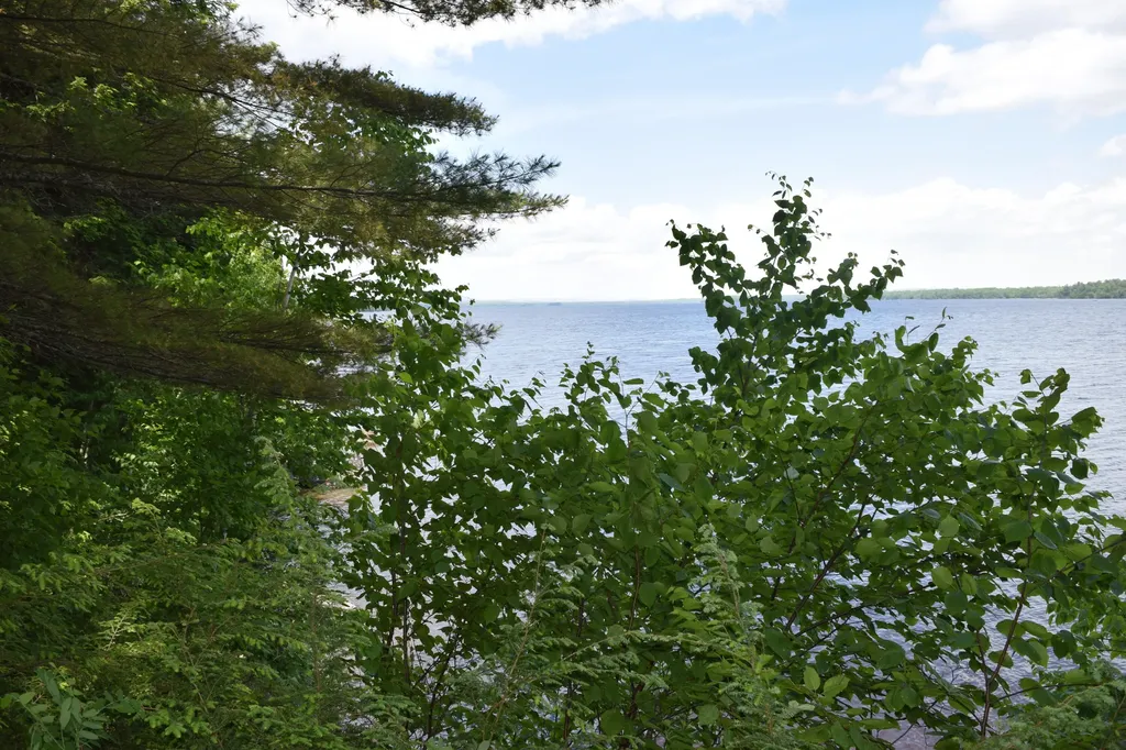 310 Peninsula Drive Mariaville ME 04605