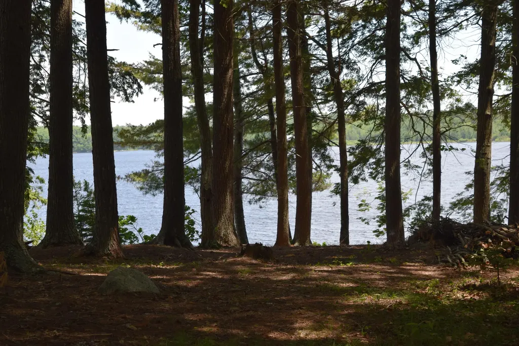 310 Peninsula Drive Mariaville ME 04605