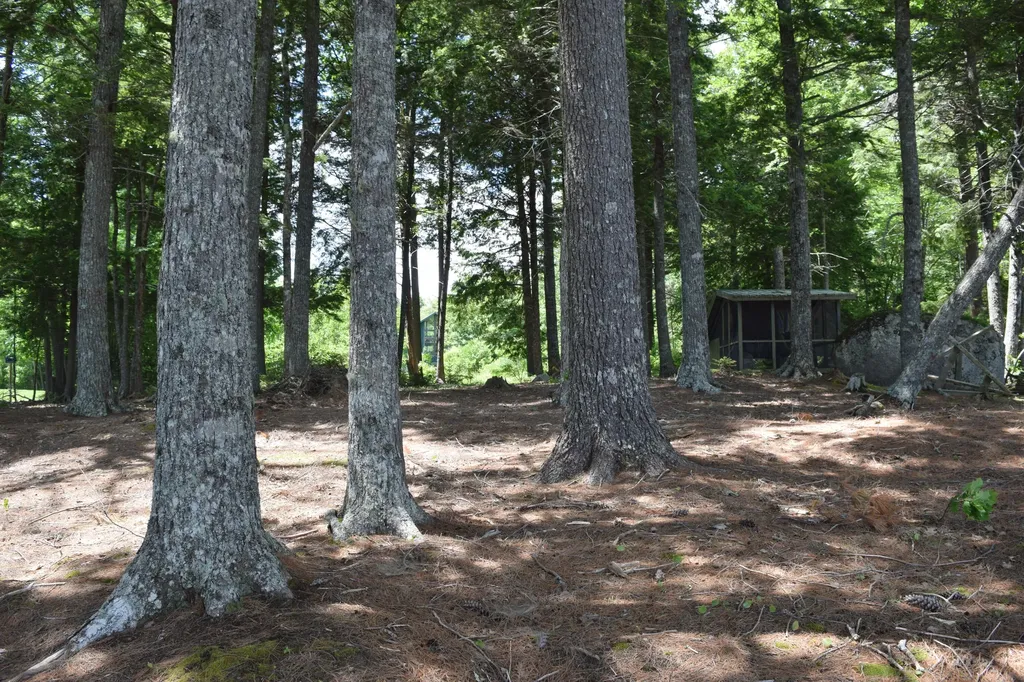310 Peninsula Drive Mariaville ME 04605