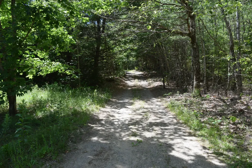 310 Peninsula Drive Mariaville ME 04605