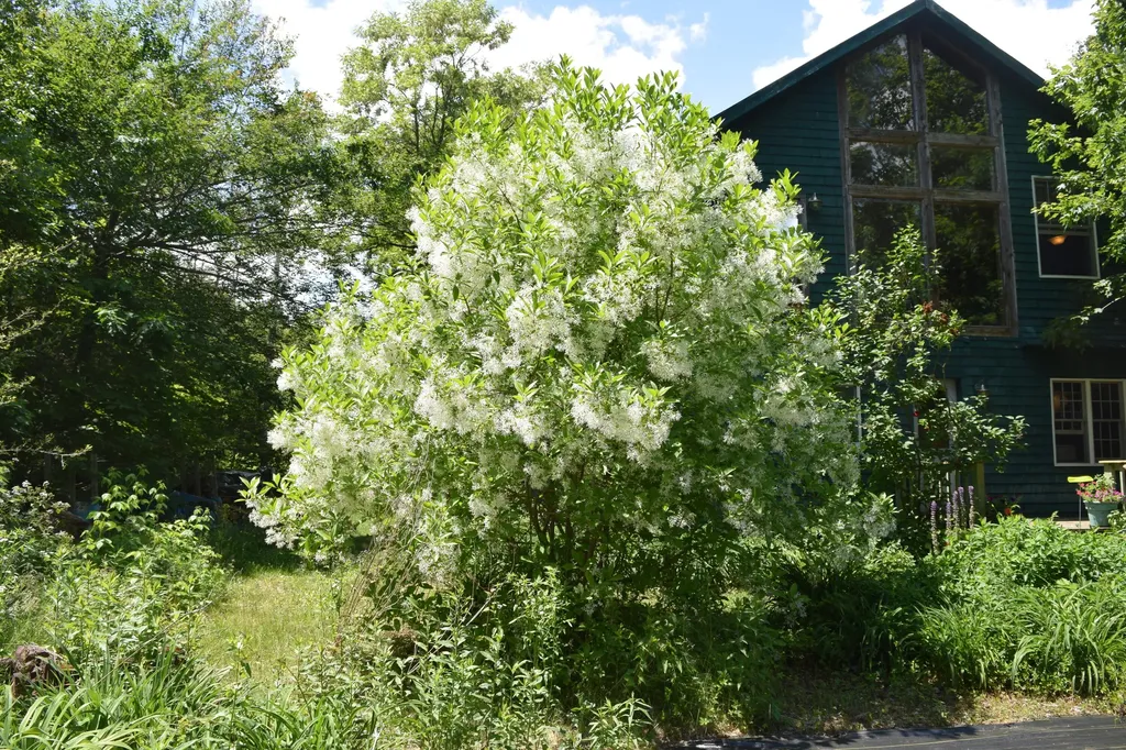 310 Peninsula Drive Mariaville ME 04605