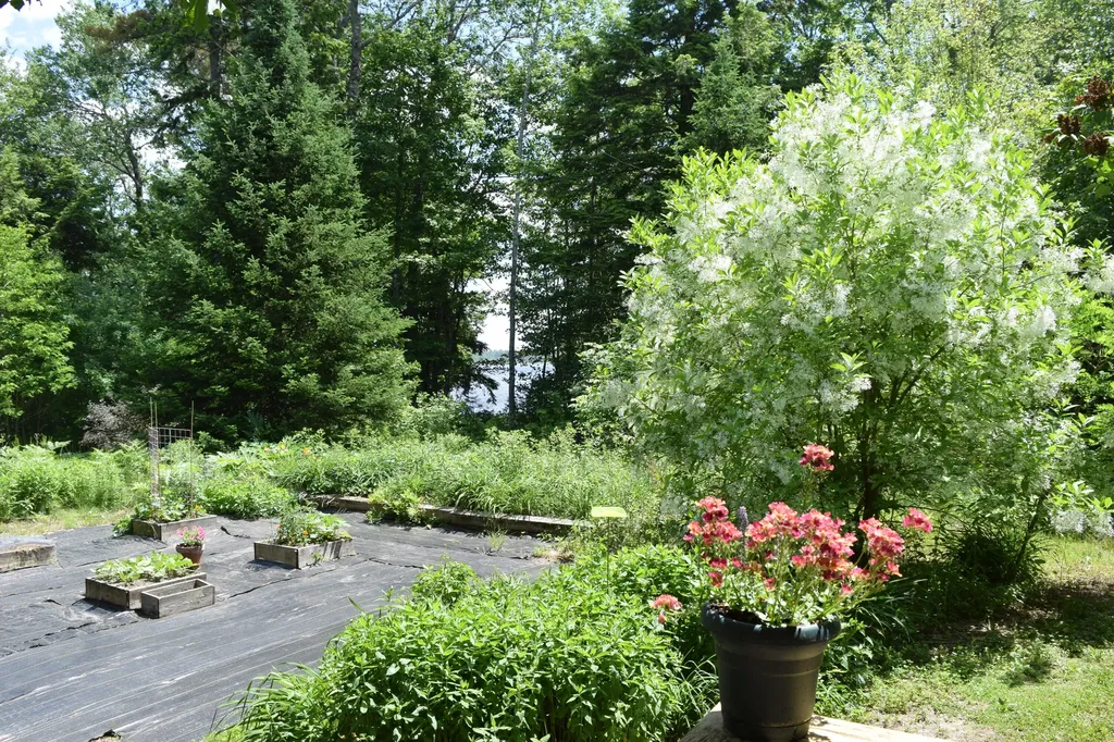 310 Peninsula Drive Mariaville ME 04605