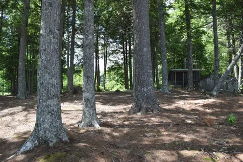 310 Peninsula Drive Mariaville ME 04605