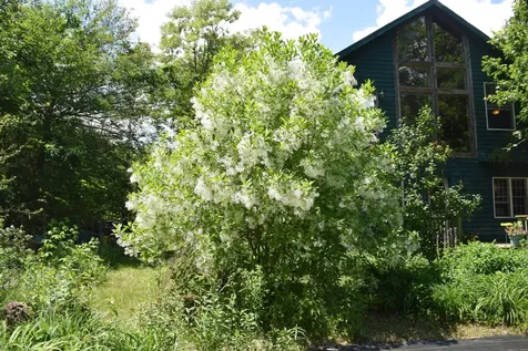 310 Peninsula Drive Mariaville ME 04605