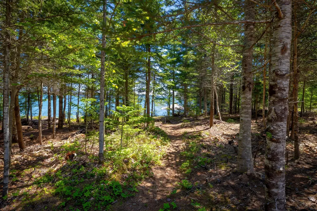 3 Cove Road Steuben ME 04680
