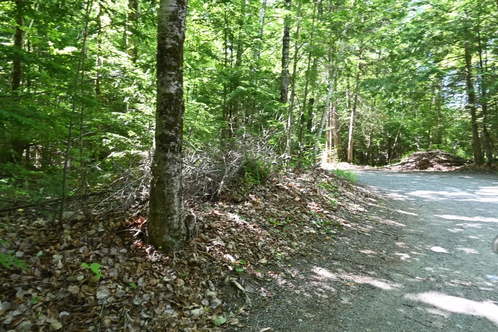 Po M11 L46 Woodcock Lane Skowhegan ME 04976