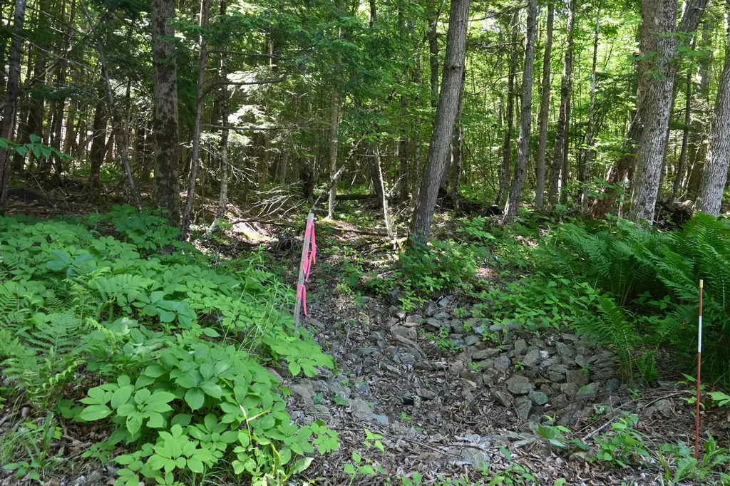 Po M11 L46 Woodcock Lane Skowhegan ME 04976