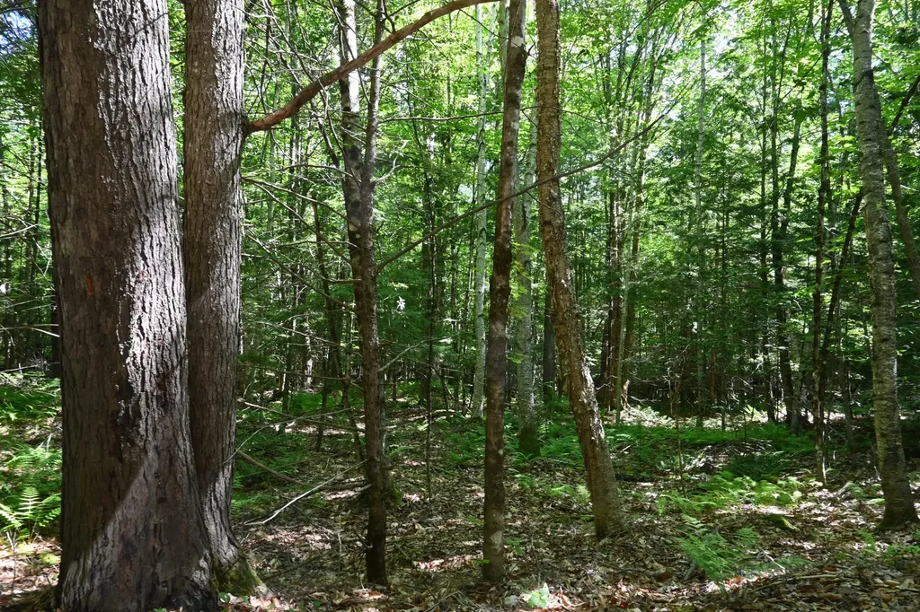 Po M11 L46 Woodcock Lane Skowhegan ME 04976