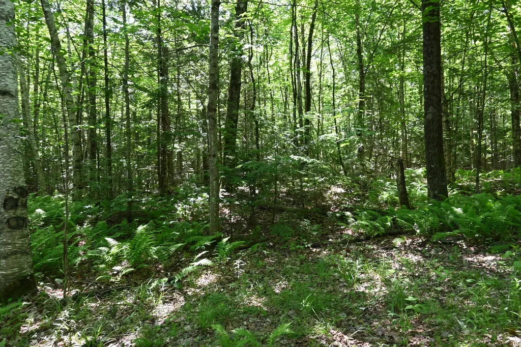 Po M11 L46 Woodcock Lane Skowhegan ME 04976