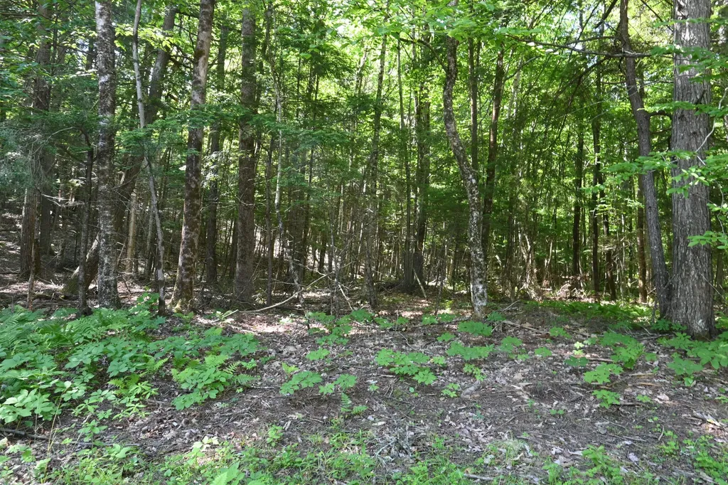 Po M11 L46 Woodcock Lane Skowhegan ME 04976
