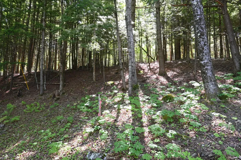 Po M11 L46 Woodcock Lane Skowhegan ME 04976