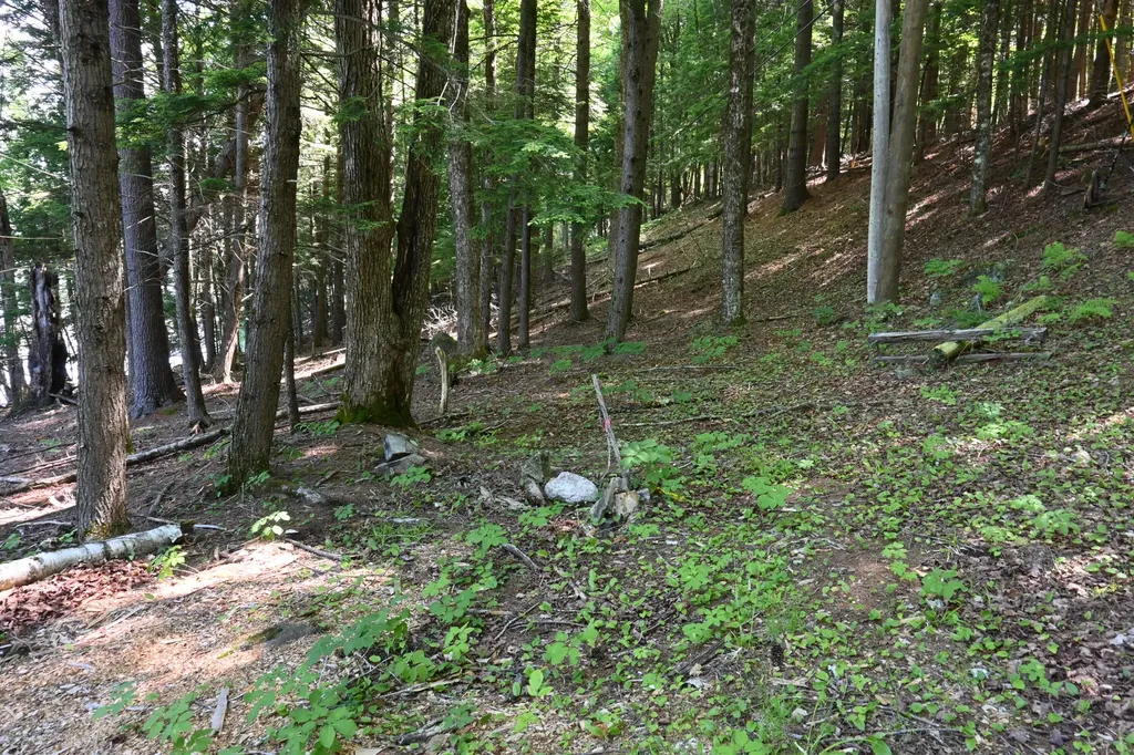 Po M11 L46 Woodcock Lane Skowhegan ME 04976