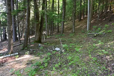 Po M11 L46 Woodcock Lane Skowhegan ME 04976