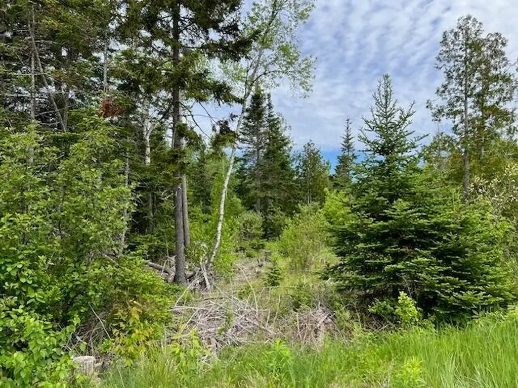 Lot 29-001 Fifth Avenue Pembroke ME 04666