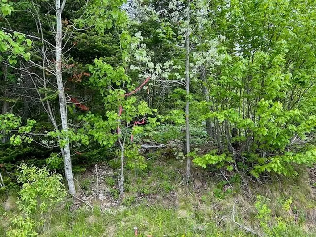 Lot 29-001 Fifth Avenue Pembroke ME 04666