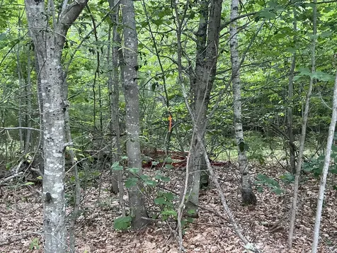 64-G Browning Way Cumberland ME 04021