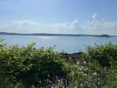 Map 15 Lot 307-9 Johnson Street Lubec ME 04652