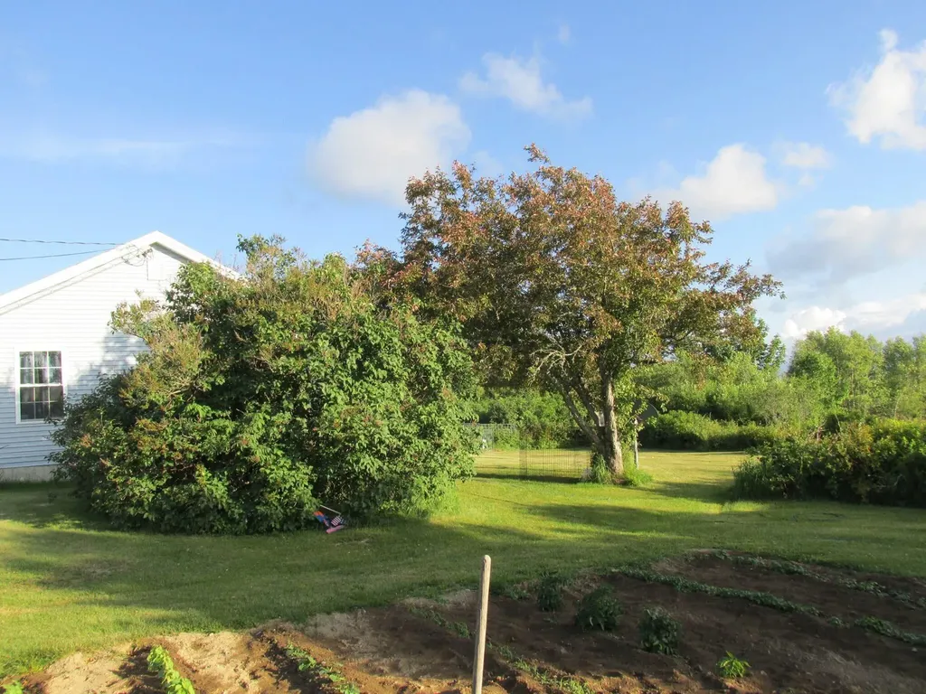 1312 Macomber Mill Road Eastbrook ME 04634