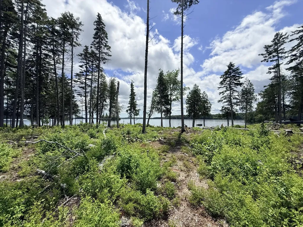 313 Birch Point Road Cooper ME 04657