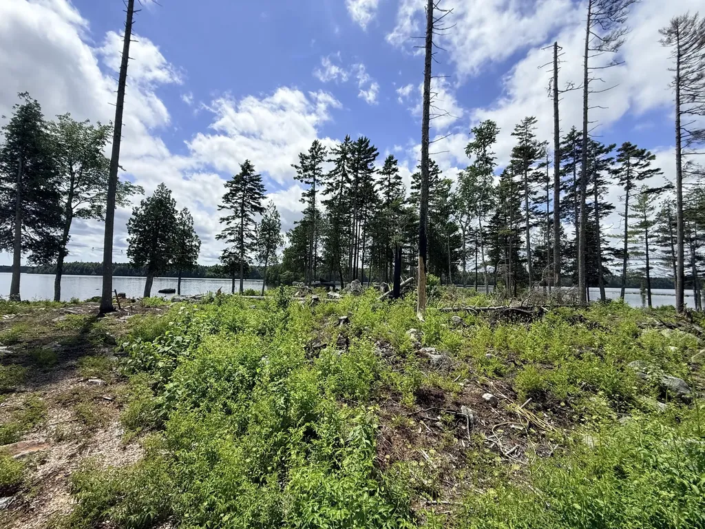 313 Birch Point Road Cooper ME 04657