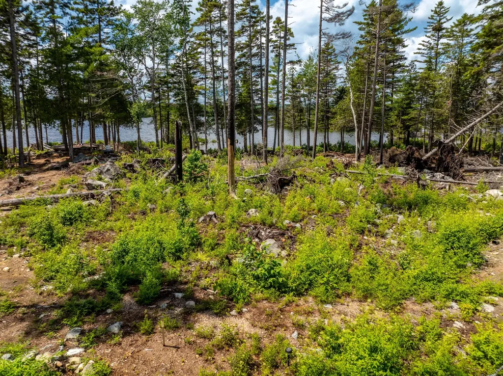 313 Birch Point Road Cooper ME 04657