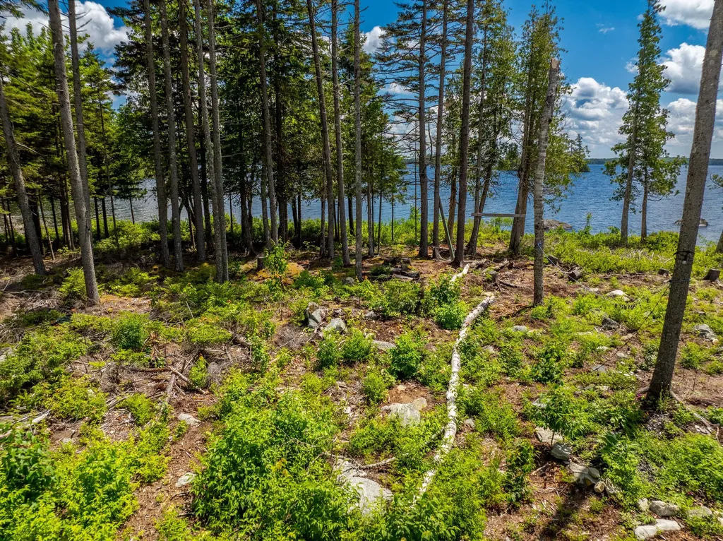 313 Birch Point Road Cooper ME 04657