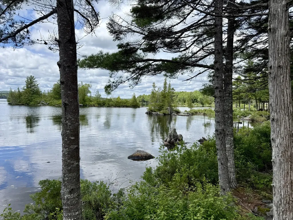 313 Birch Point Road Cooper ME 04657