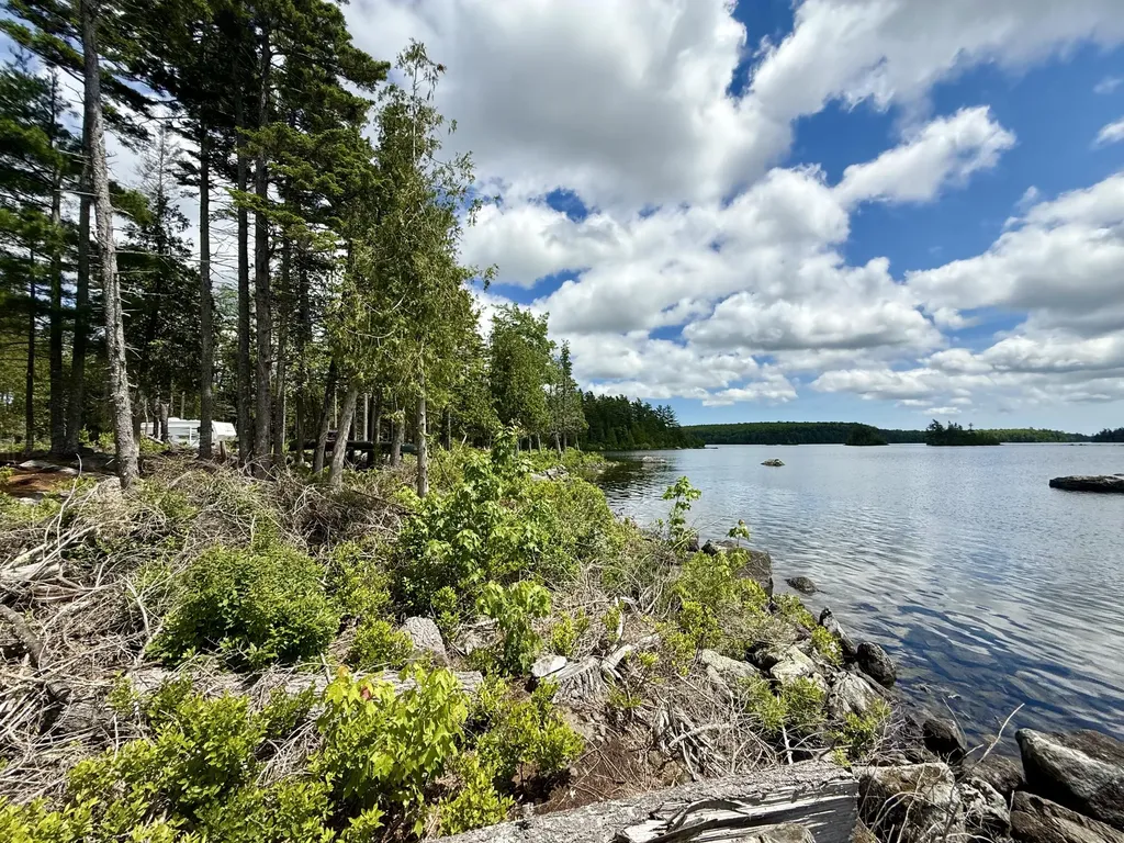 313 Birch Point Road Cooper ME 04657