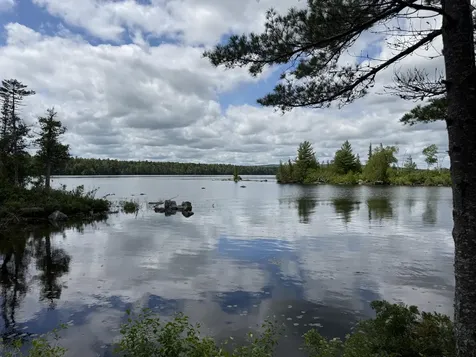 313 Birch Point Road Cooper ME 04657