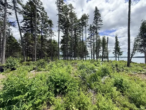 313 Birch Point Road Cooper ME 04657