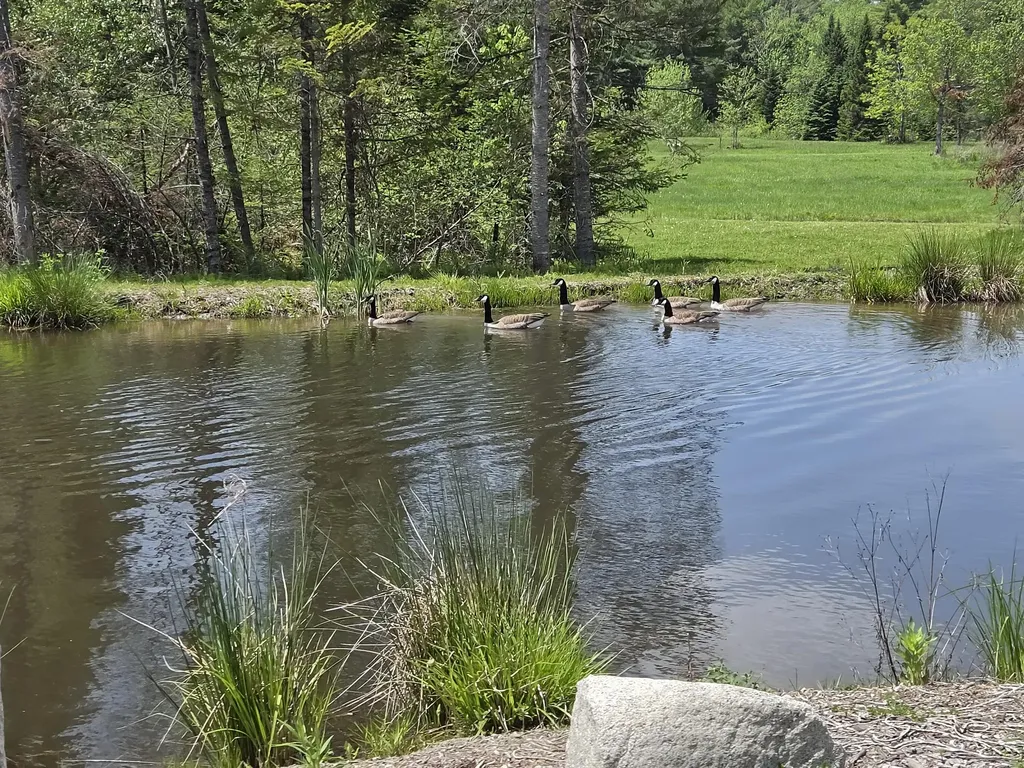 22 Bear Mountain Road Fairfield ME 04937