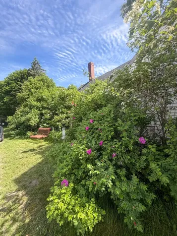 39 Jacksonville Road East Machias ME 04630