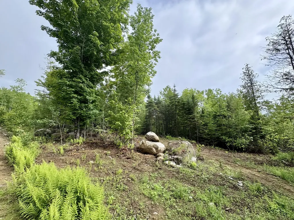 Lot 10 Mt. Jefferson Heights Lee ME 04455