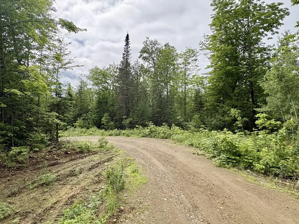 Lot 10 Mt. Jefferson Heights Lee ME 04455