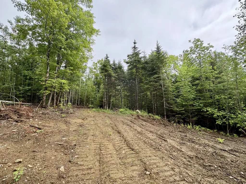 Lot 10 Mt. Jefferson Heights Lee ME 04455