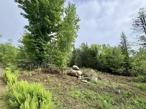 Lot 10 Mt. Jefferson Heights Lee ME 04455
