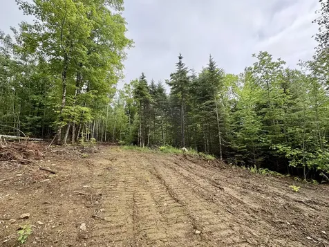 Lot 10 Mt. Jefferson Heights Lee ME 04455