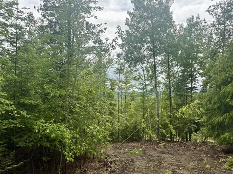 Lot 10 Mt. Jefferson Heights Lee ME 04455