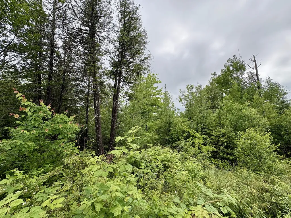Lot 12 Mt. Jefferson Heights Lee ME 04455