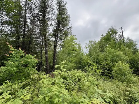 Lot 12 Mt. Jefferson Heights Lee ME 04455