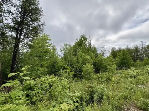 Lot 12 Mt. Jefferson Heights Lee ME 04455